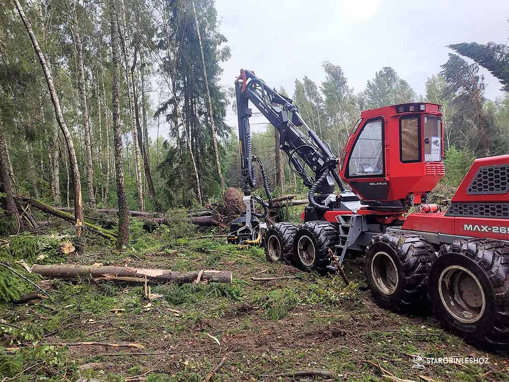 В ВИЛЕЙСКОМ ОПЫТНОМ ЛЕСХОЗЕ ПРОДОЛЖАЕТСЯ ЛИКВИДАЦИЯ ПОСЛЕДСТВИЙ СТИХИИ В ВИЛЕЙСКОМ ОПЫТНОМ ЛЕСХОЗЕ ПРОДОЛЖАЕТСЯ ЛИКВИДАЦИЯ ПОСЛЕДСТВИЙ СТИХИИ