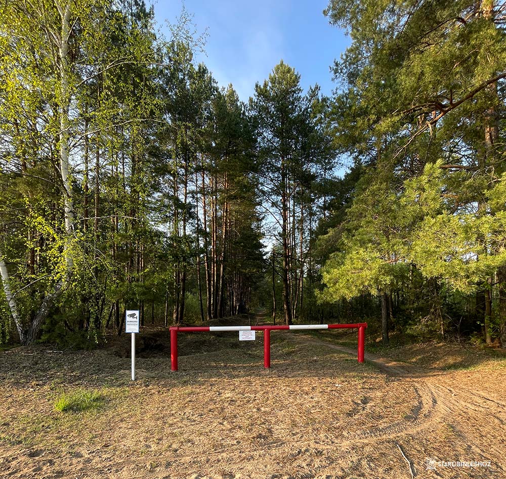 Действует ограничение на нахождение граждан на территории лесных и торфяных массивов